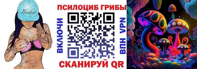 Галлюциногенные грибы Psilocybine cubensis  Купить где  Зуевка 